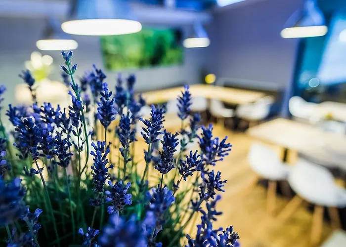 فندق مبيت وإفطار Eskapada